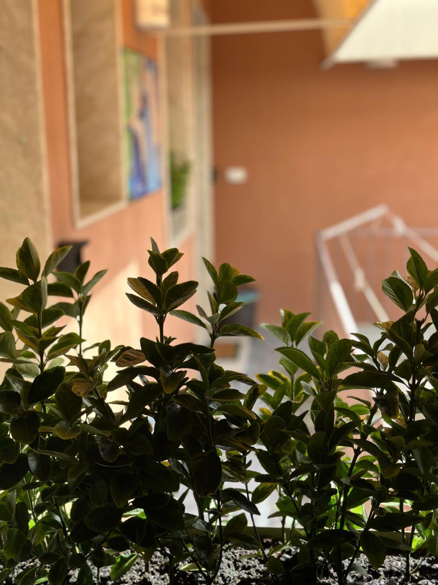Le Camere Luxury Rooms Siracusa Syracuse Exterior photo